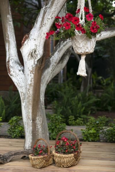 Gayb-i Bungalows - 2