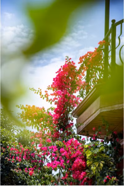 Akyaka Villa Marine Otel — 8