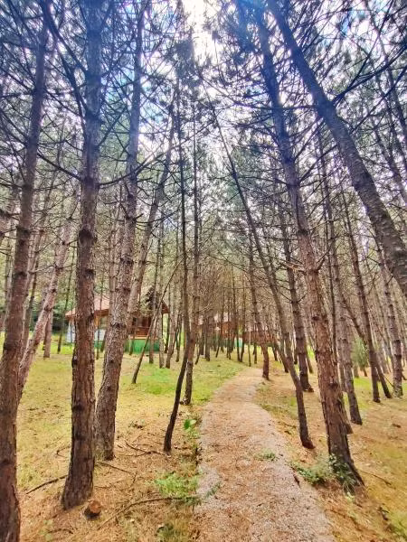 Çampınarı Doğa Evleri & Restaurant - 2