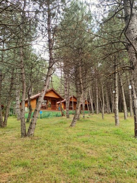 Çampınarı Doğa Evleri & Restaurant - 3