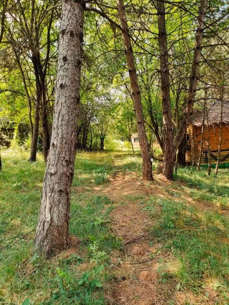 Çampınarı Doğa Evleri & Restaurant — 10