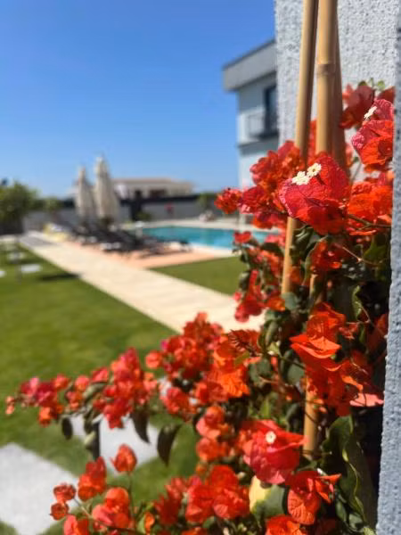 Çeşme Güzel Life - 2