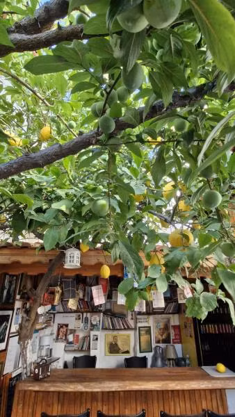Şiirli Pansiyon Kafe Bar Sığacık  — 10