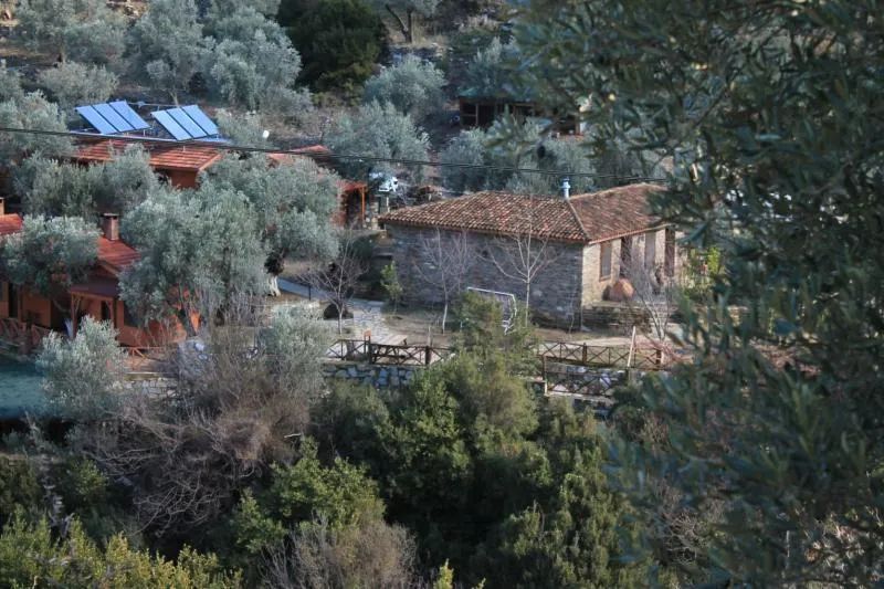 Şirincem Saklı Vadi - 1