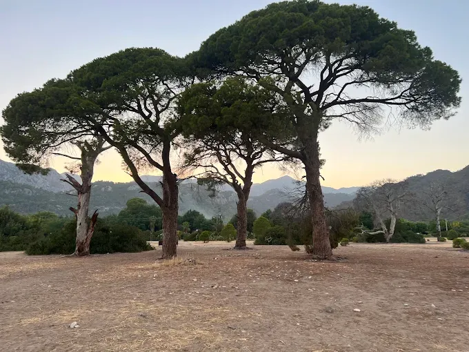 Çıralı Camping & Bungalows - 2