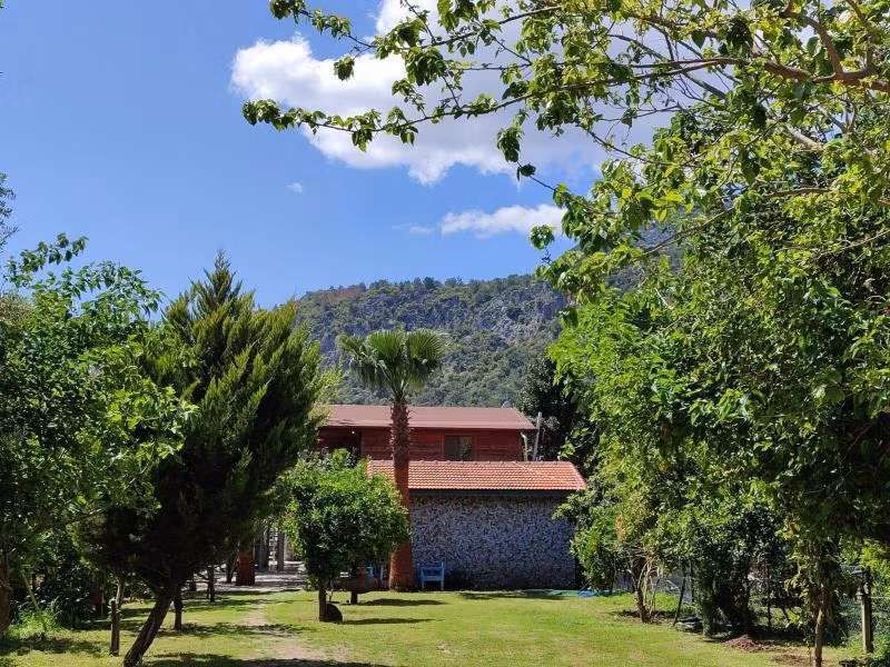 Oda Resmi