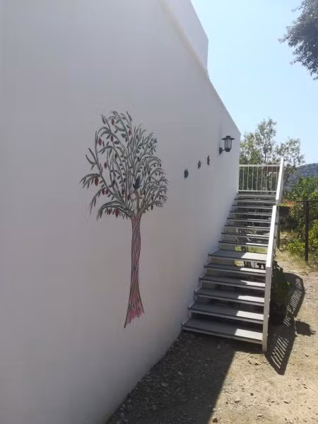 Oda Resmi