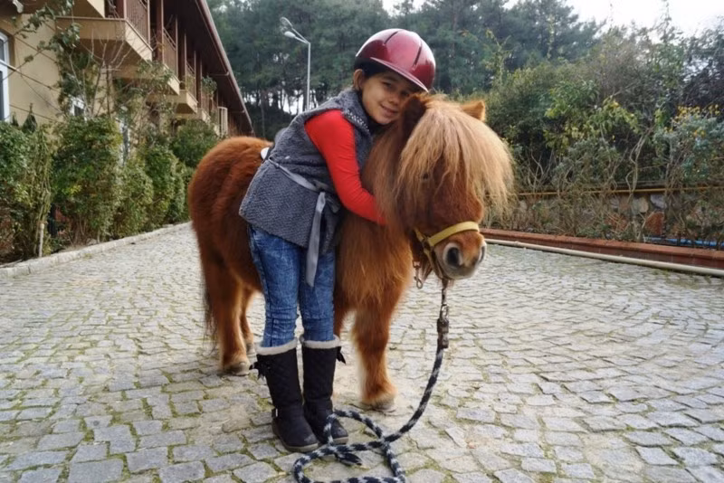 Padok Premium Hotel & Stables - 3