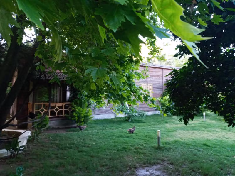Maji Village - 3