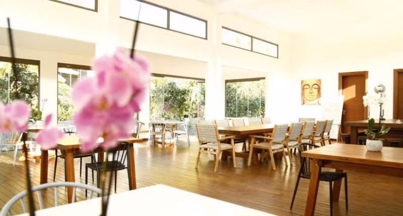 The LifeCo Bodrum Well Being Detox Center - 4