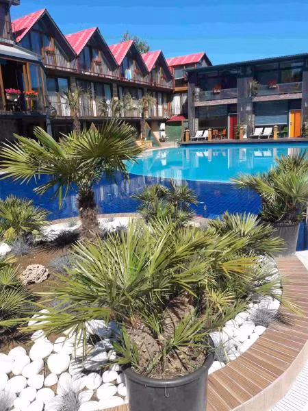 Green House Garden Park Hotel  - 2