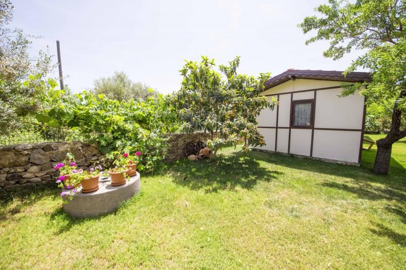 Bal Badem Bungalov - 2