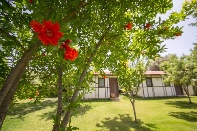Bal Badem Bungalov - 3