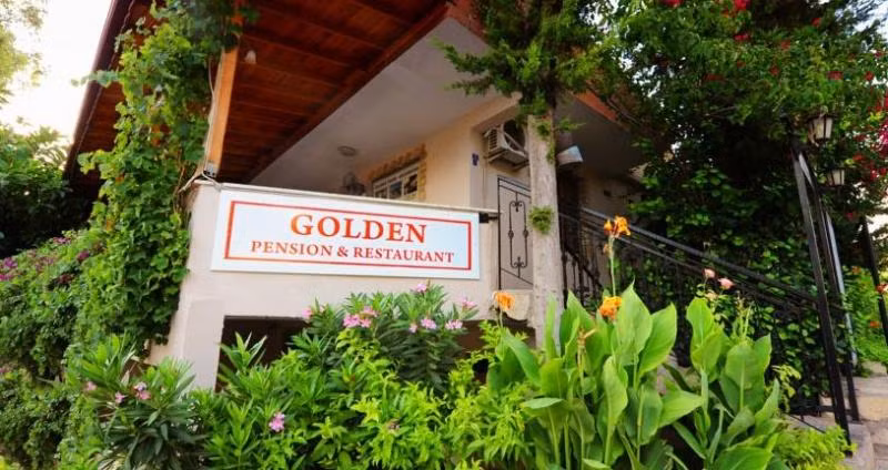 Golden Pansion - 1