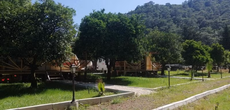 Oda Resmi