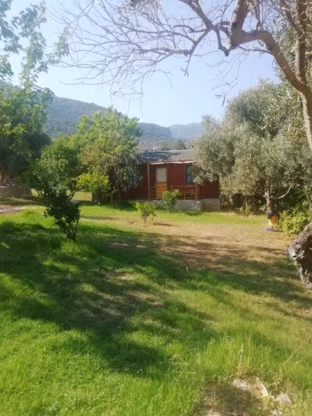 Bahar Bahçe Datça - 3