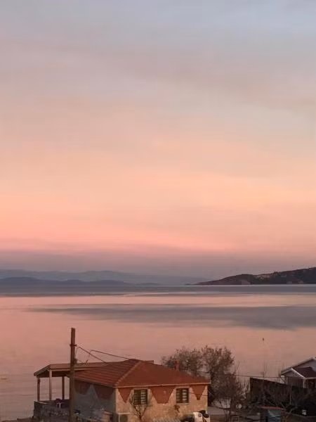Palmiye Karaburun — 5