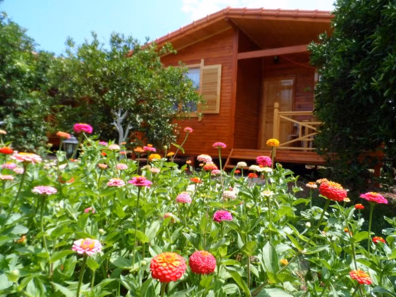Oda Resmi