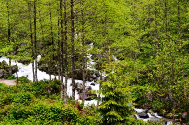 Kardelen Pansiyon - 1