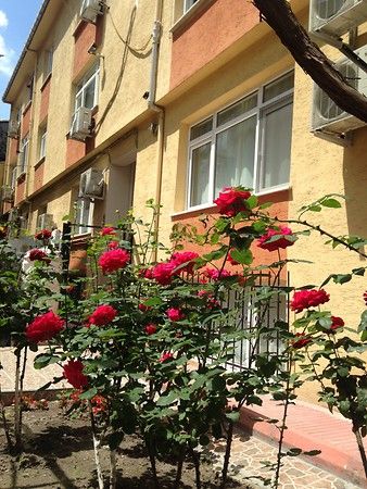 Yılmaz Apart İstanbul - 2