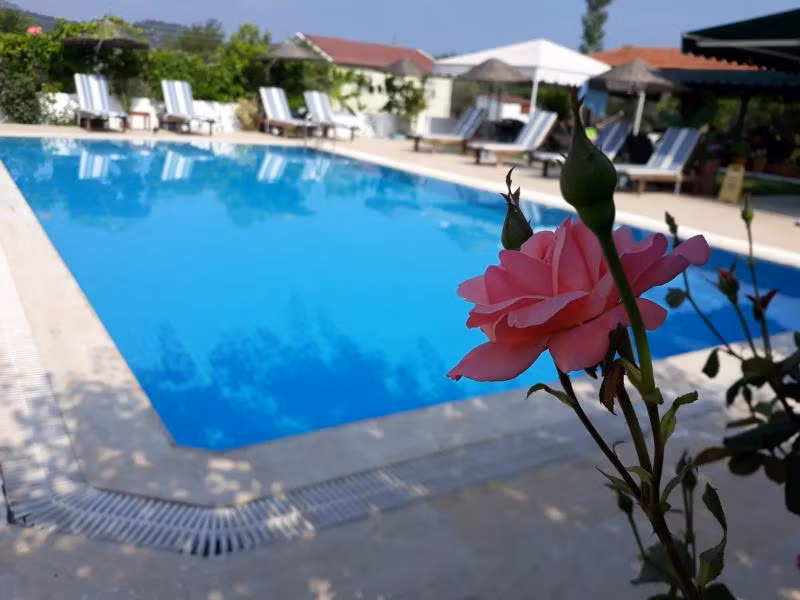 Erol Motel - 4
