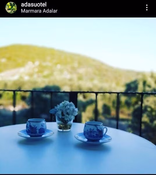 Oda Resmi