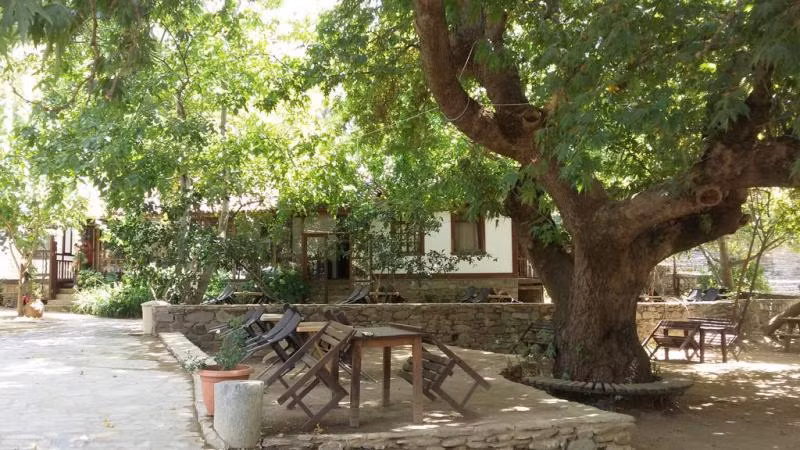Birgi Çınaraltı Pansiyon - 4