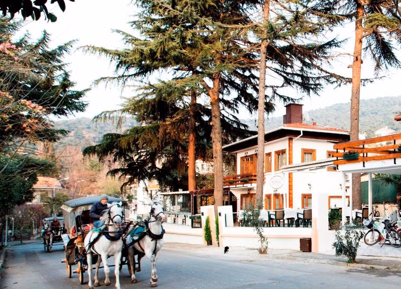 Nizam Butik Otel Büyükada - 3