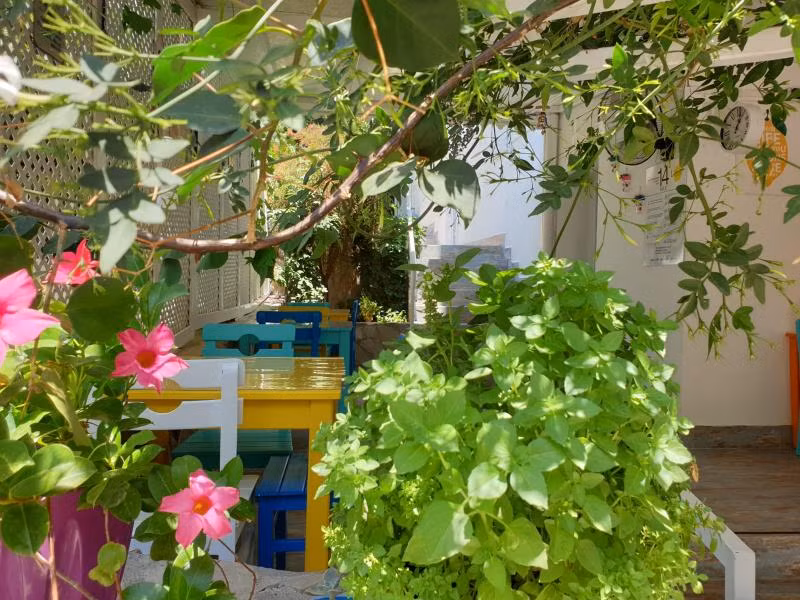 Limon Pansiyon Kaş - 3