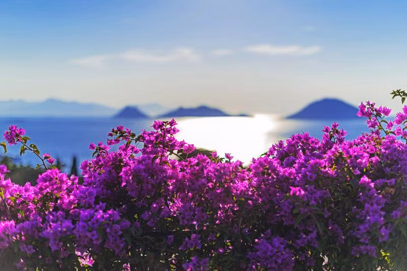 Sunset Mavi Apart - 2