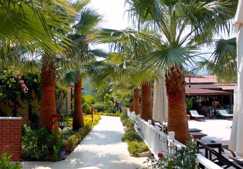 Nerissa Hotel - 1