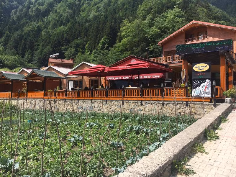 Oda Resmi