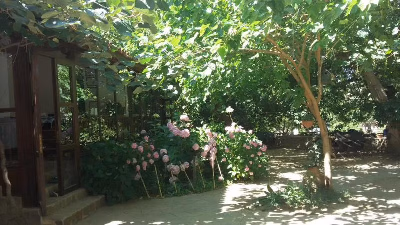 Birgi Çınaraltı Pansiyon - 3