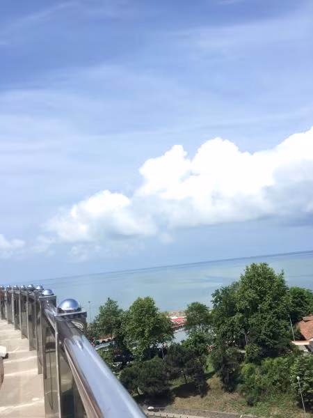 Oda Resmi