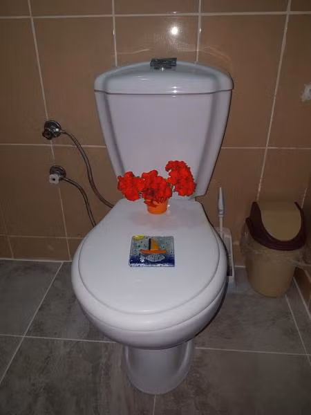 Oda Resmi