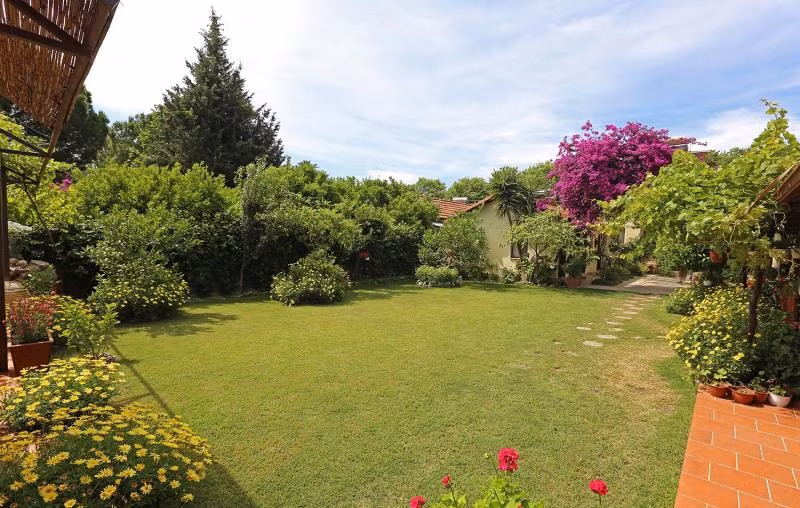 Midas Pension - 4