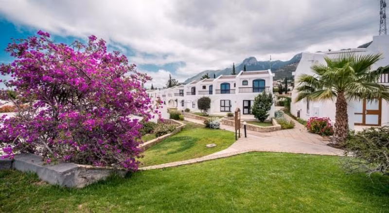 The Olive Tree Hotel — 6