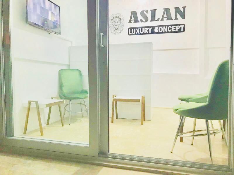 Aslan Luxury Concept  - 2