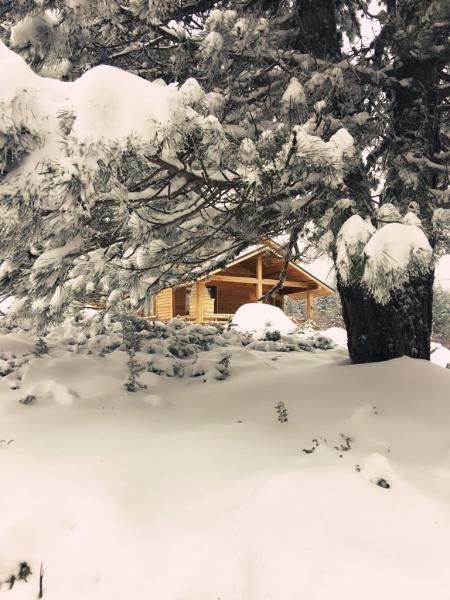 Uludağ Orman Köşkleri Sarıalan - 3