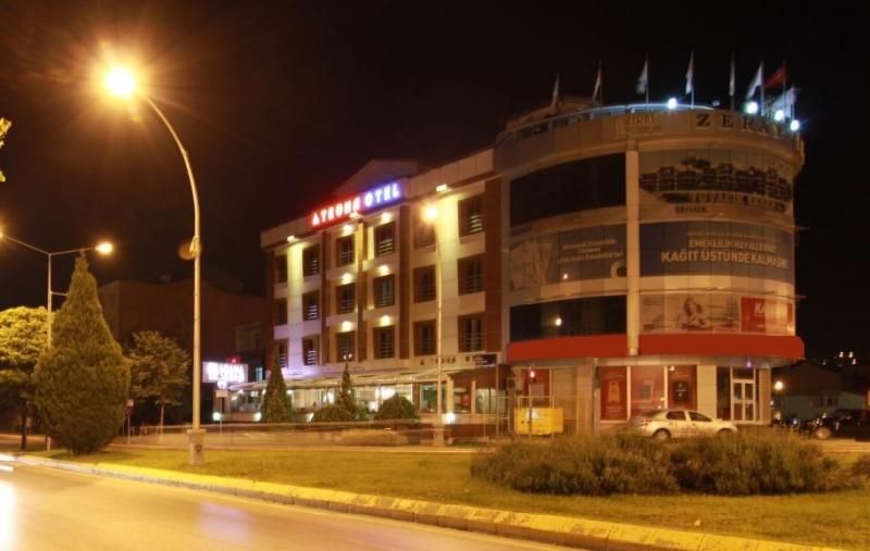 Teona Otel - 1