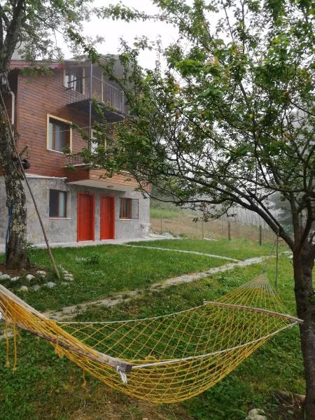 Ayder Palas Apart Otel - 1