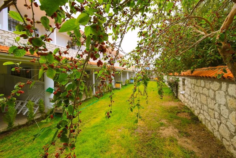 Alasonya Alaçatı by La Mira - 4