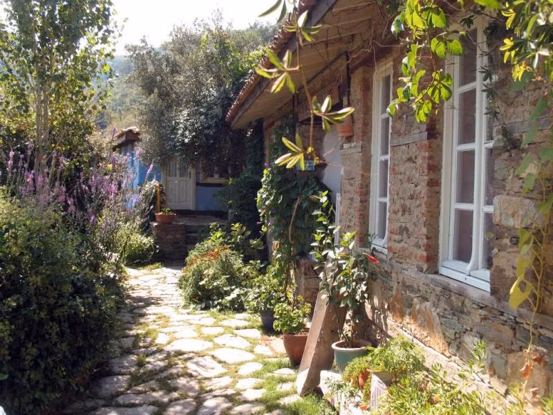 Oda Resmi
