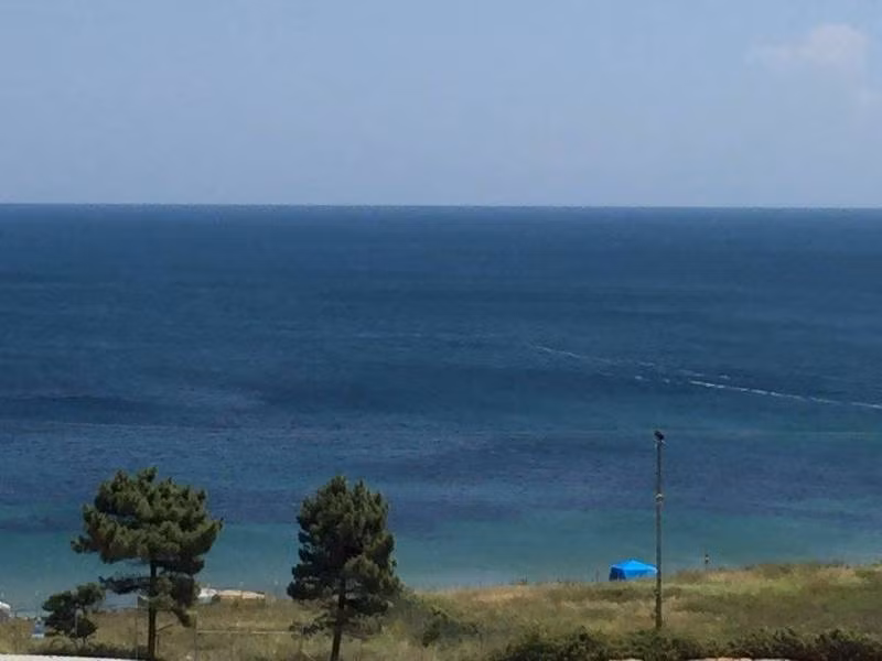 Yaşar Apart - 2