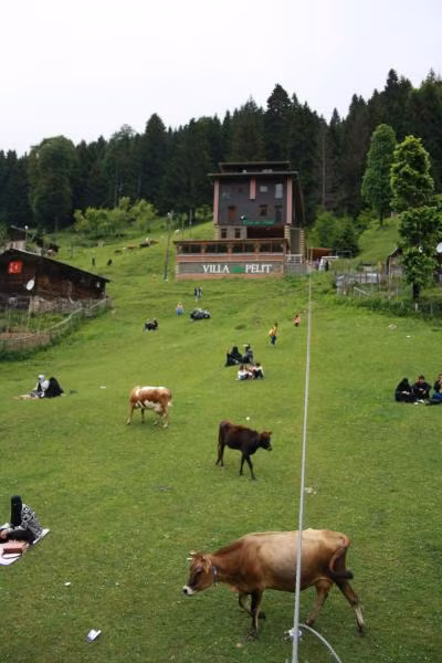 Ayder Villa de Pelit Hotel - 2