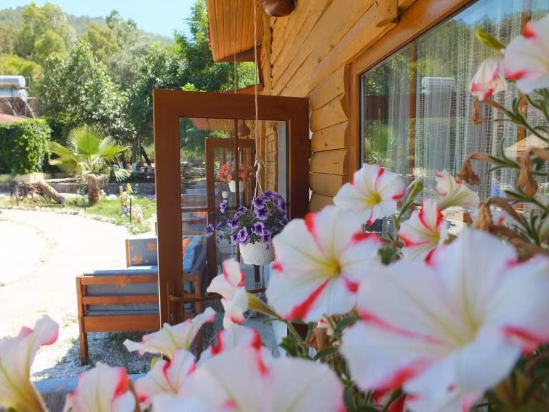 Utopia Lodge Hotel - 4