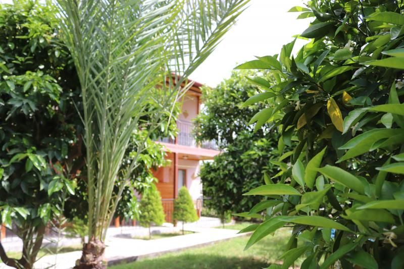 Plaj Hotel - 1