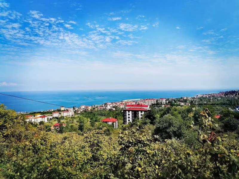 Royal Villa - 2