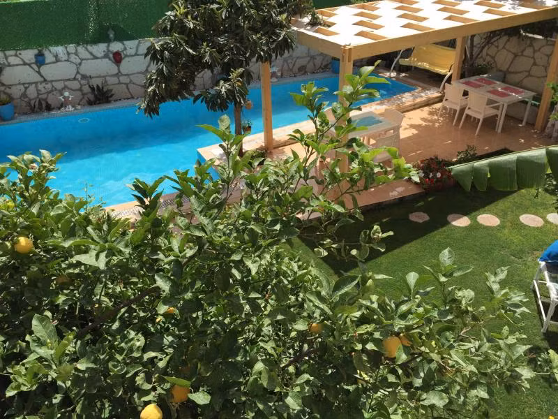 Sarı Köşk Butik Hotel - 4