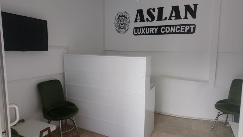 Aslan Luxury Concept  - 1